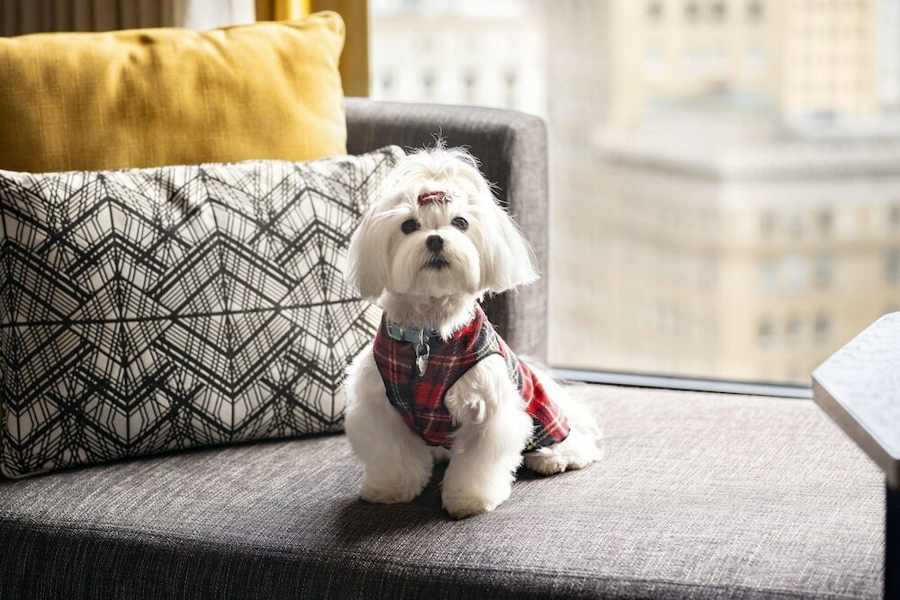 Фото Oakland Marriott City Center