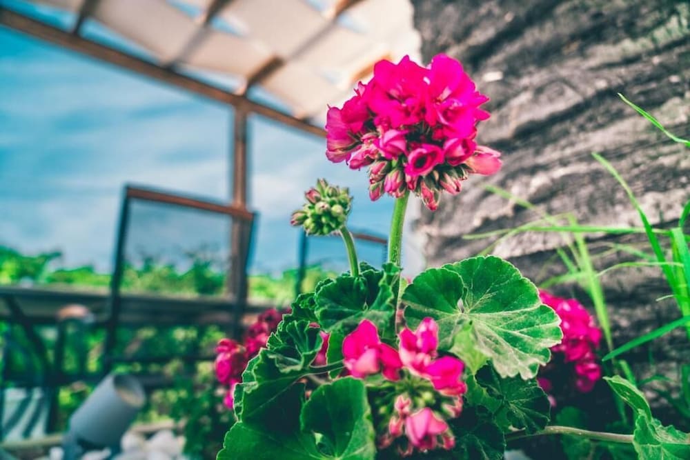 Фото Morfeas Hotel