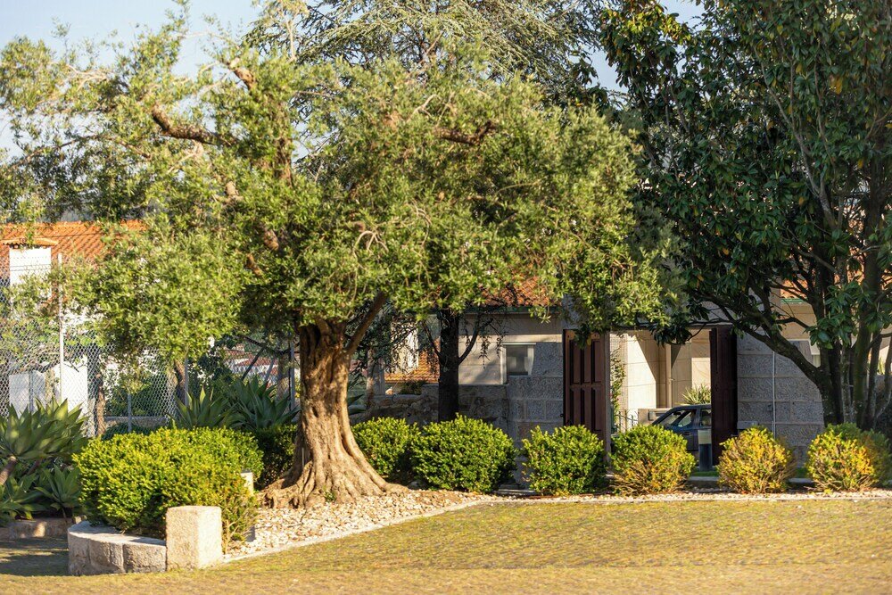 Фото Hotel Rural Quinta de S Sebastiao