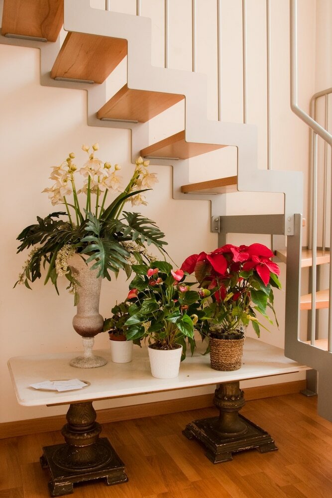 Фото All'Obelisco