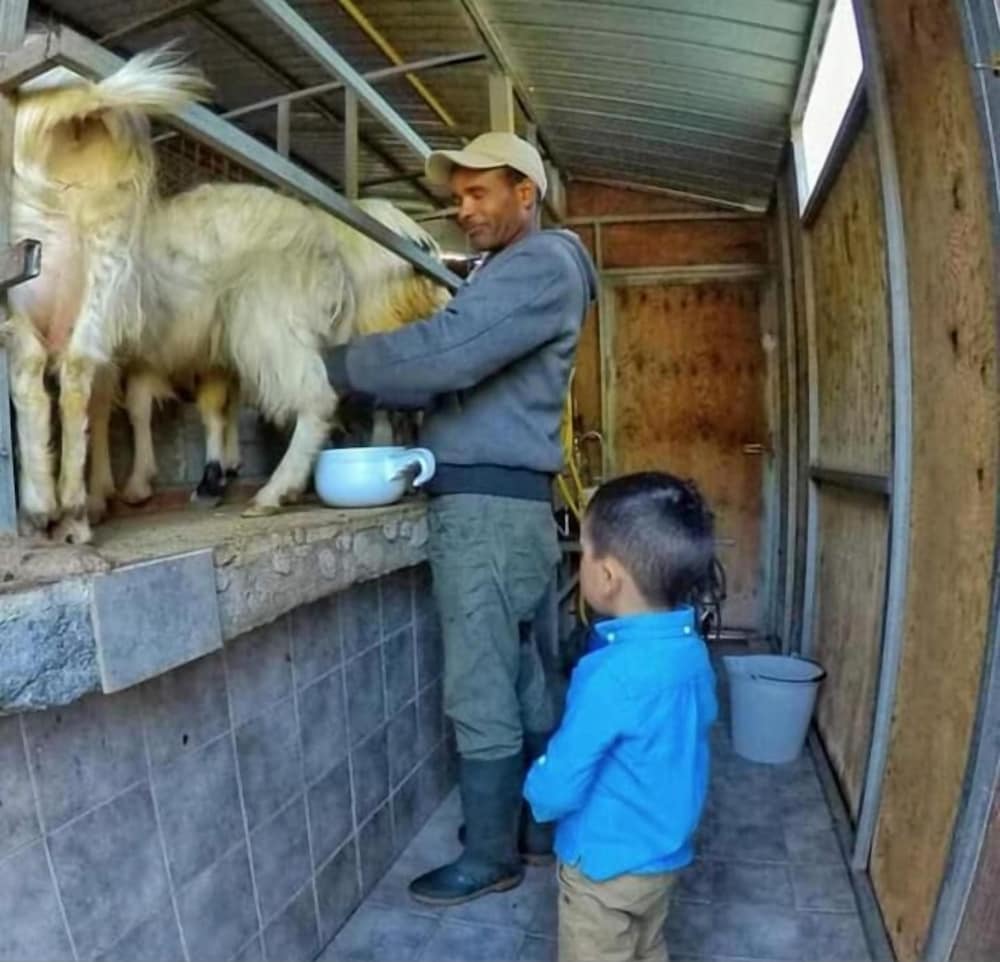 Фото Agriturismo San Cataldo Farm Home