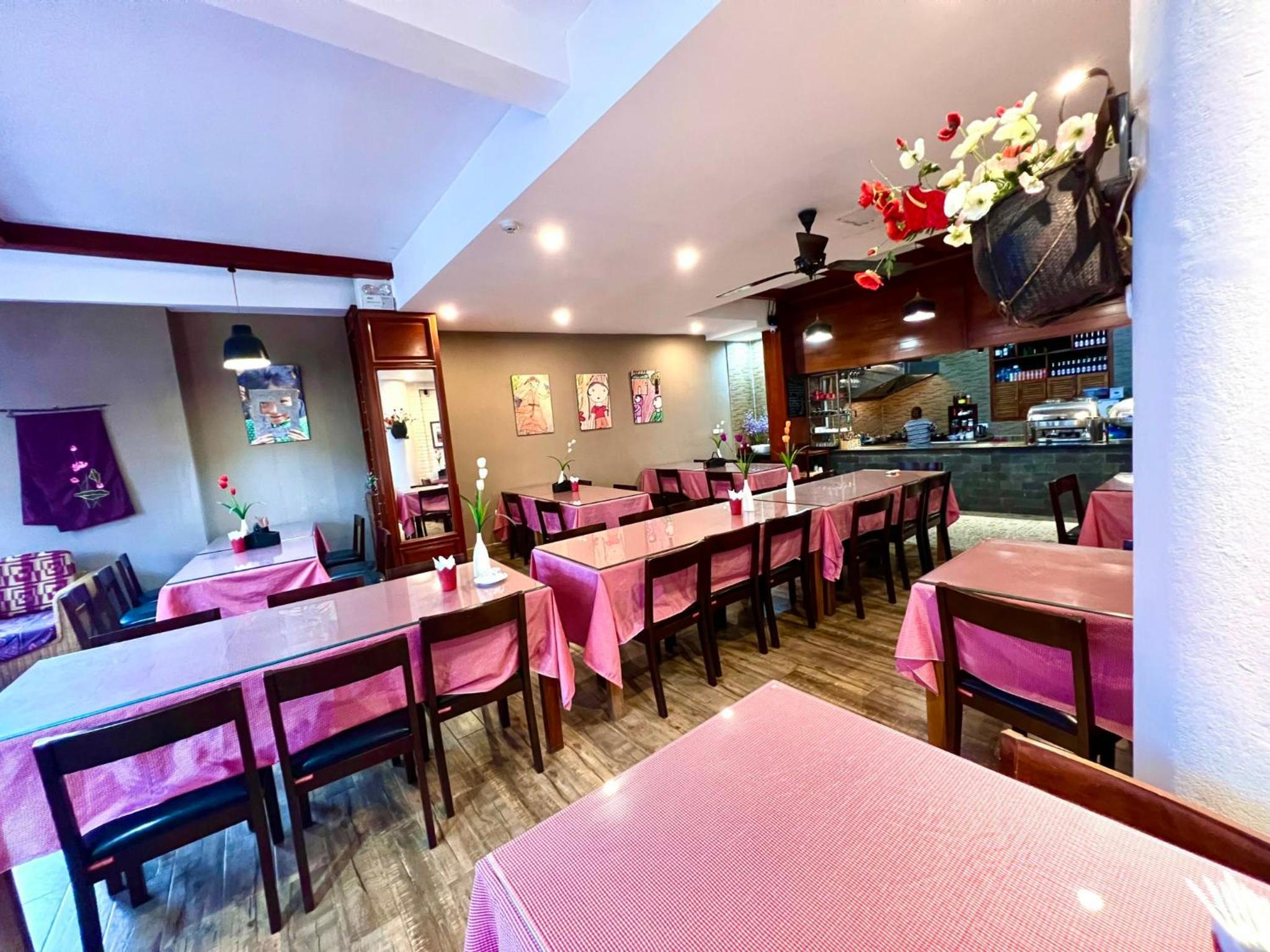 Фото Cat Cat View