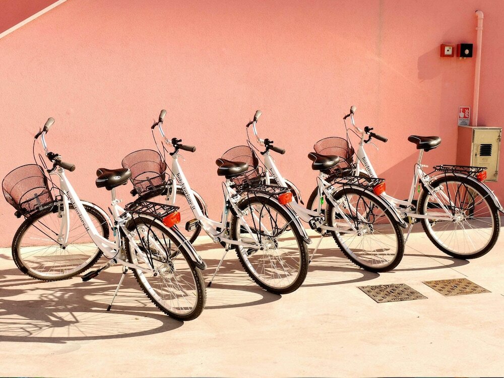 Фото Hotel Storione