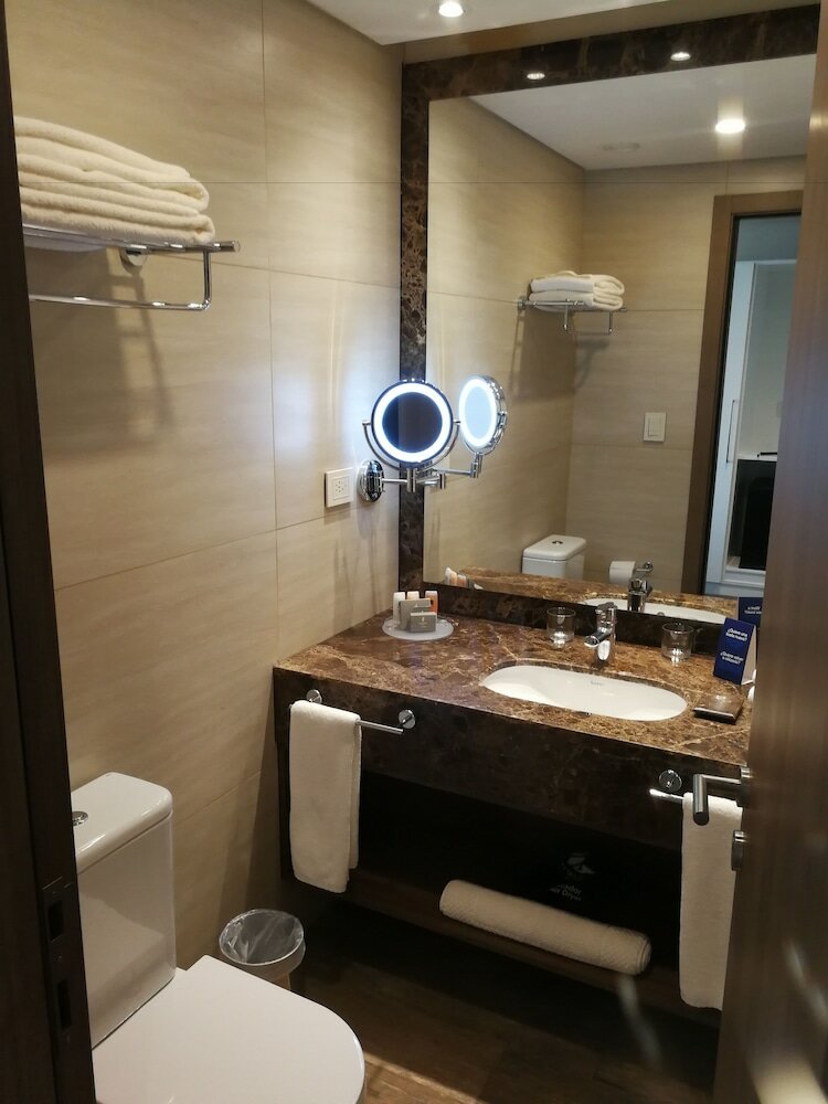 Фото Paseo La Galería Hotel & Suites