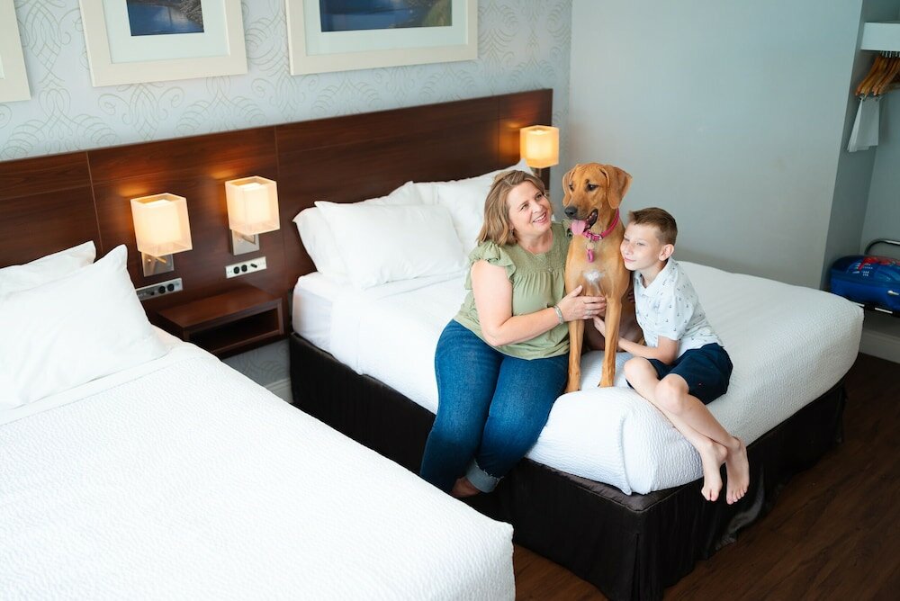 Фото Rodd Moncton Hotel