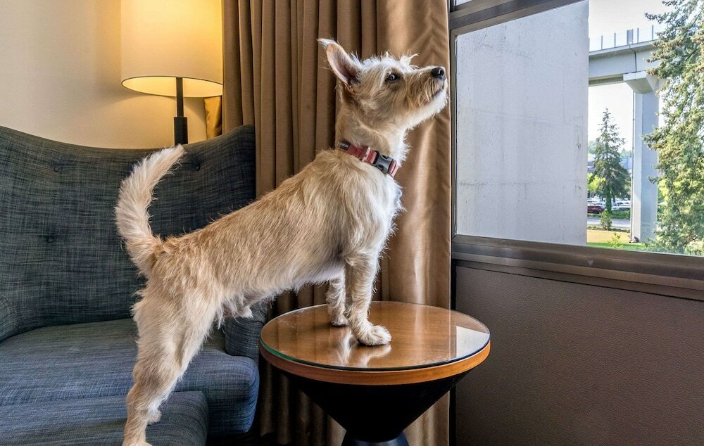 Фото Hotel 116, A Coast Hotel Bellevue