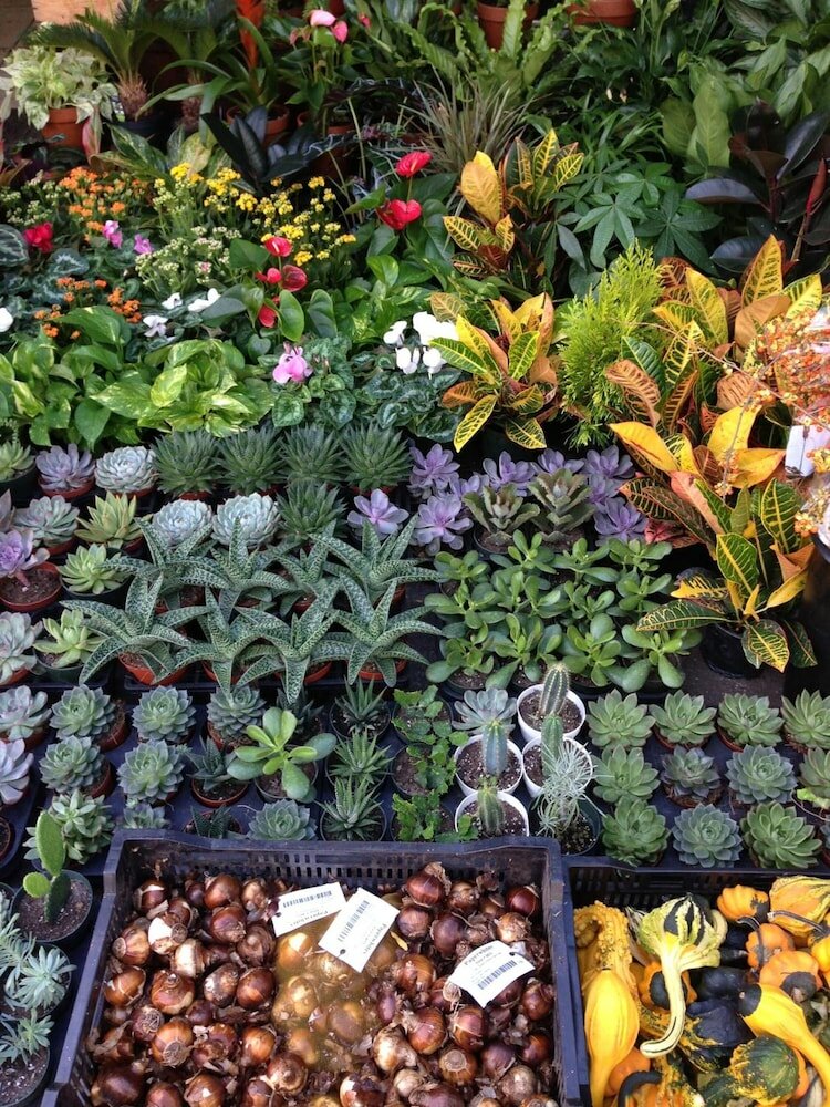 Фото B&b Il Picchio