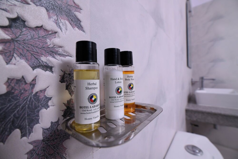 Фото Hotel Ladakh Inn