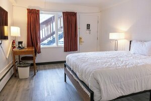 Гостиница The Driftwood Hotel