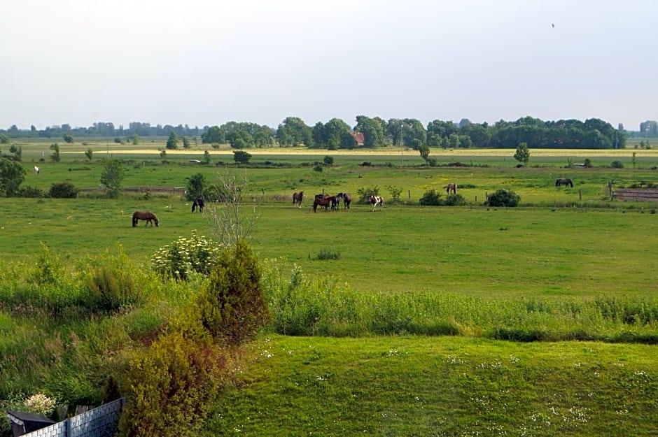 Фото Hotel Aquarius