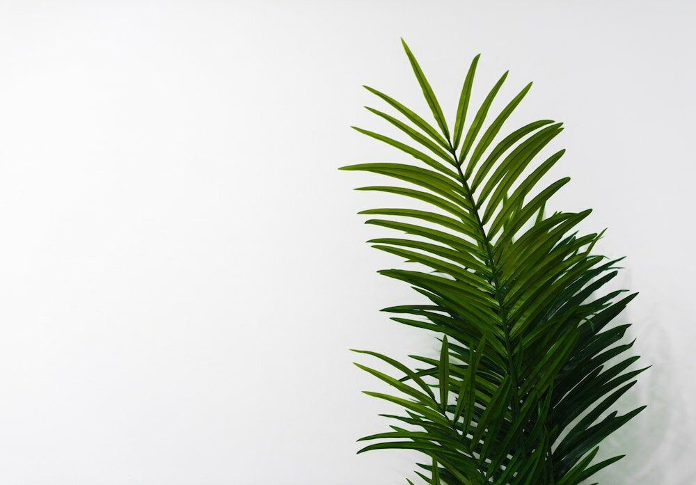 Фото Apartamentos Toboso Plaza