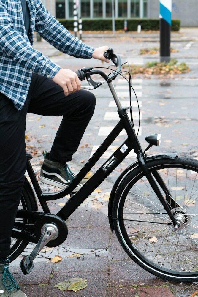 Фото Urban Hotel The Golden Stork