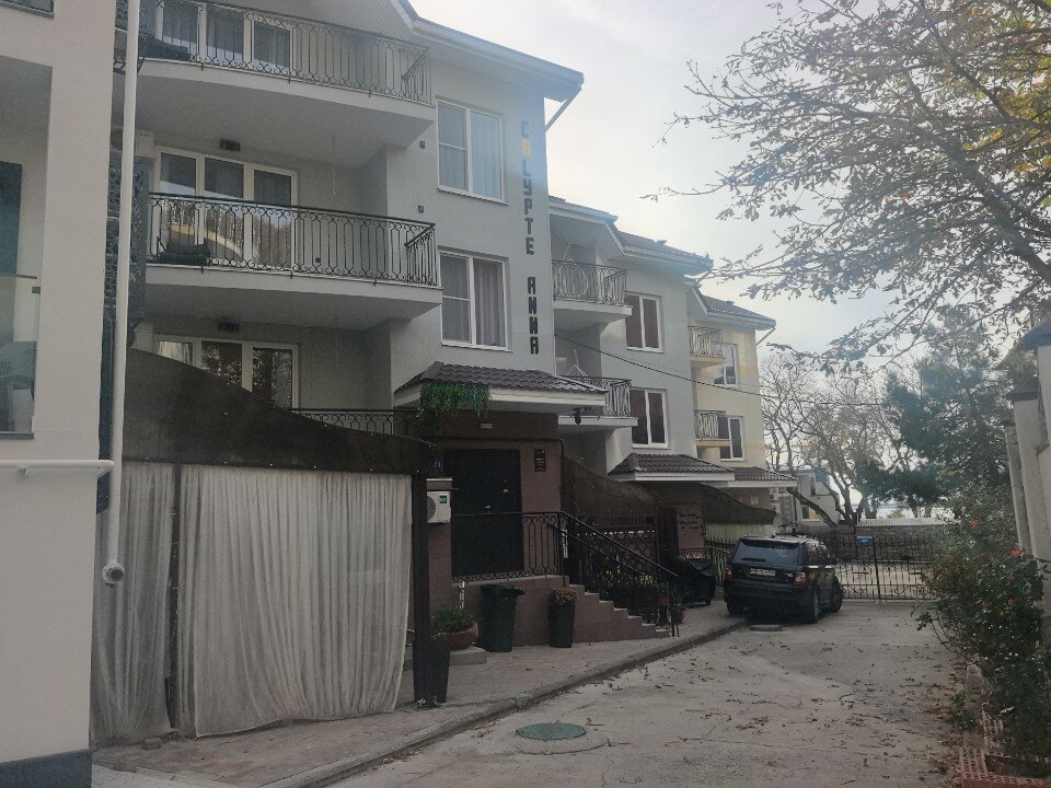 Фото Calypte Anna