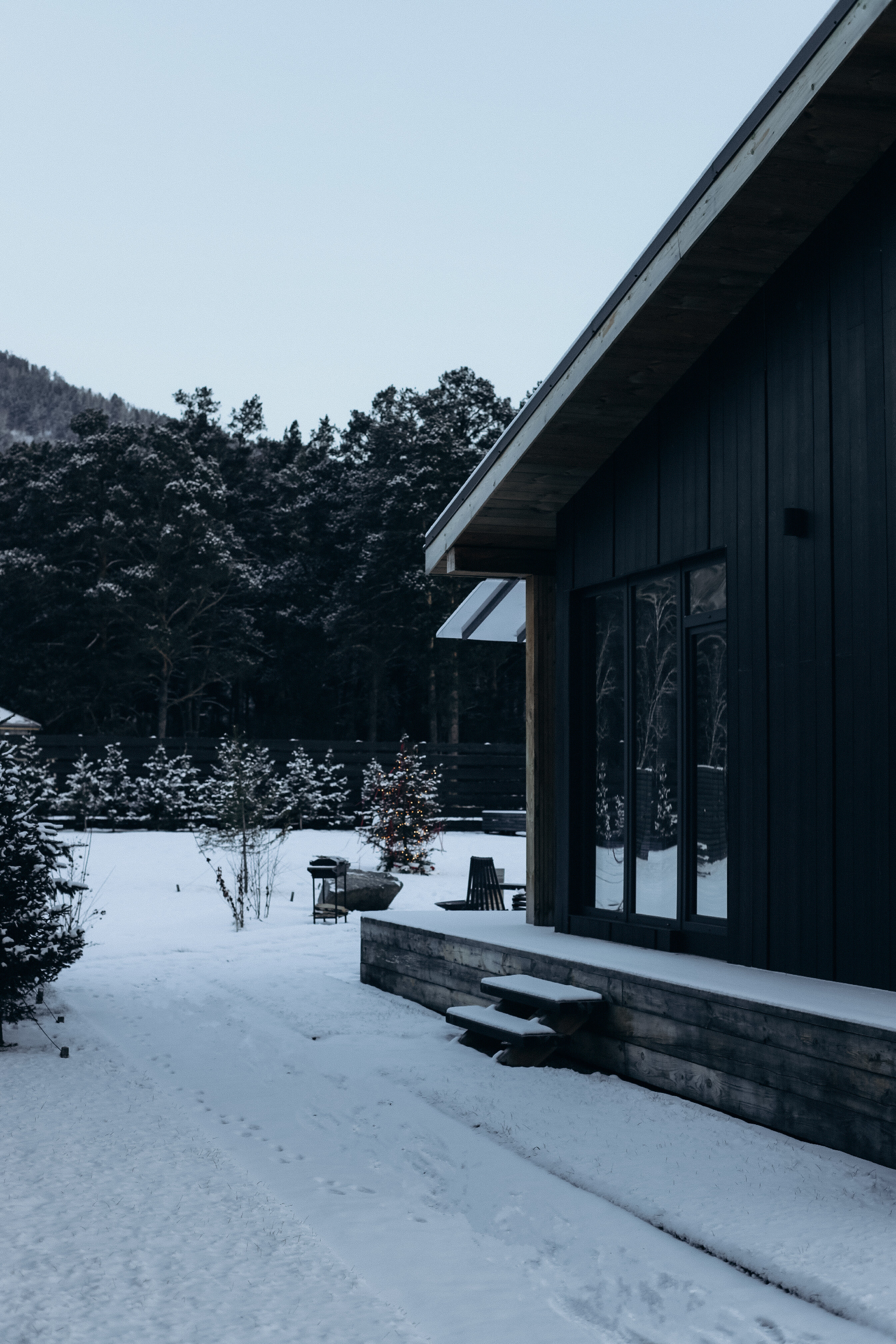 Фото Альпака