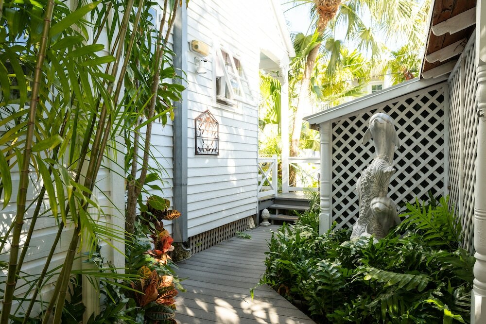 Фото The Mermaid & Alligator