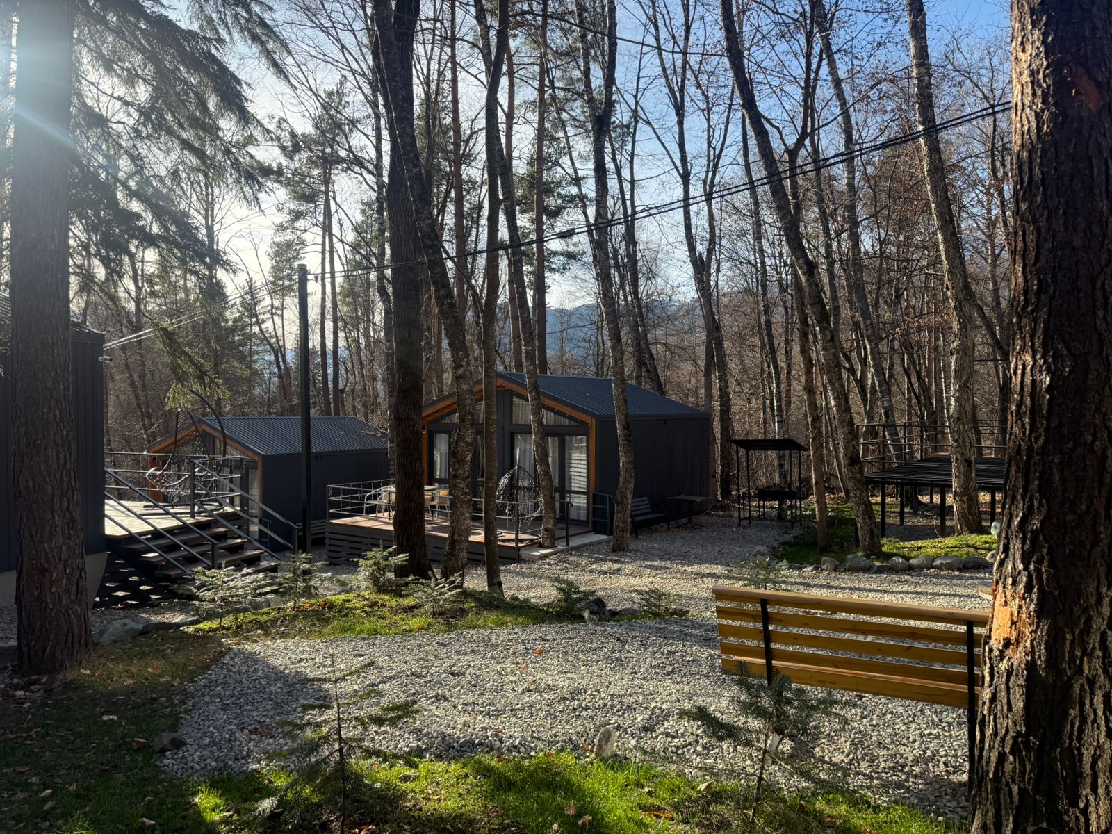 Фото Шёпот Леса