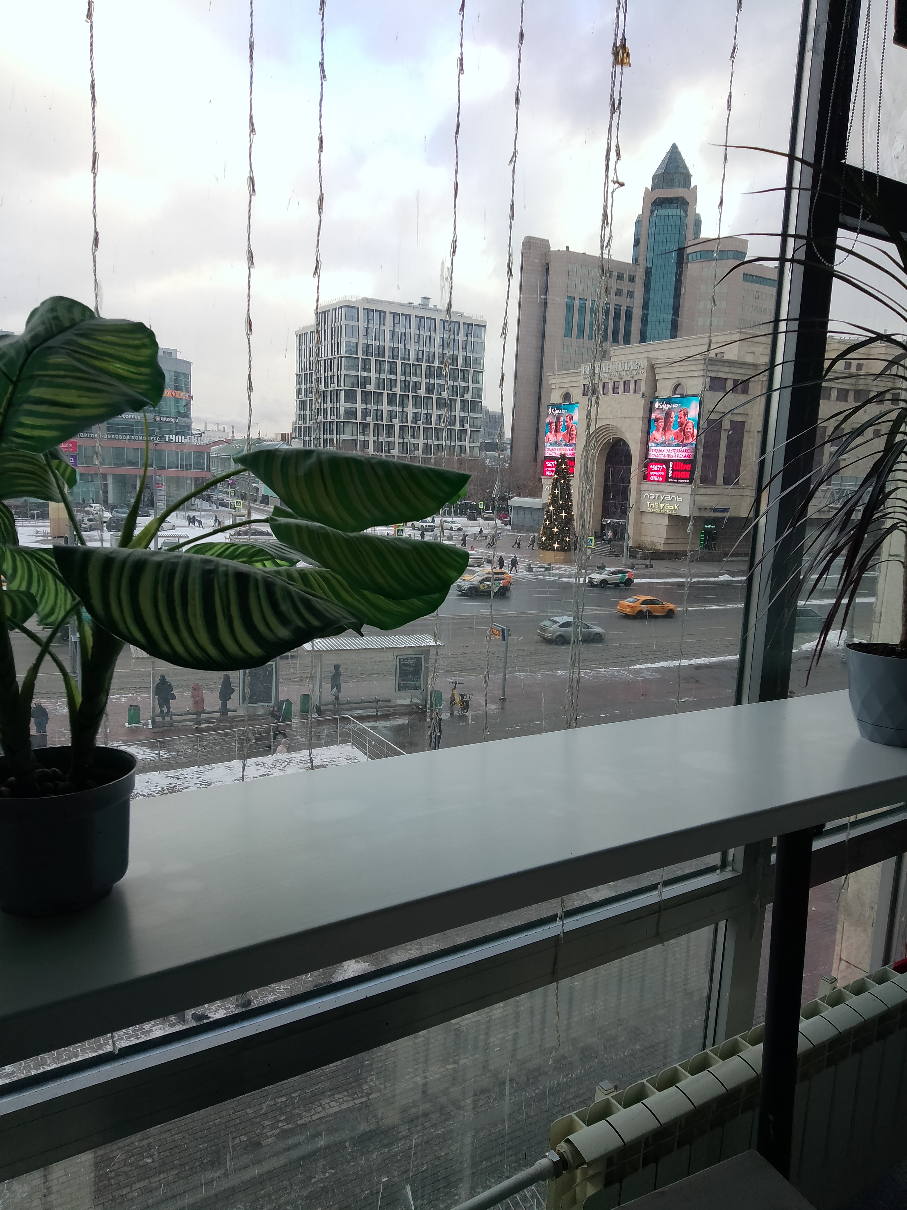 Фото Shelterz Тульская