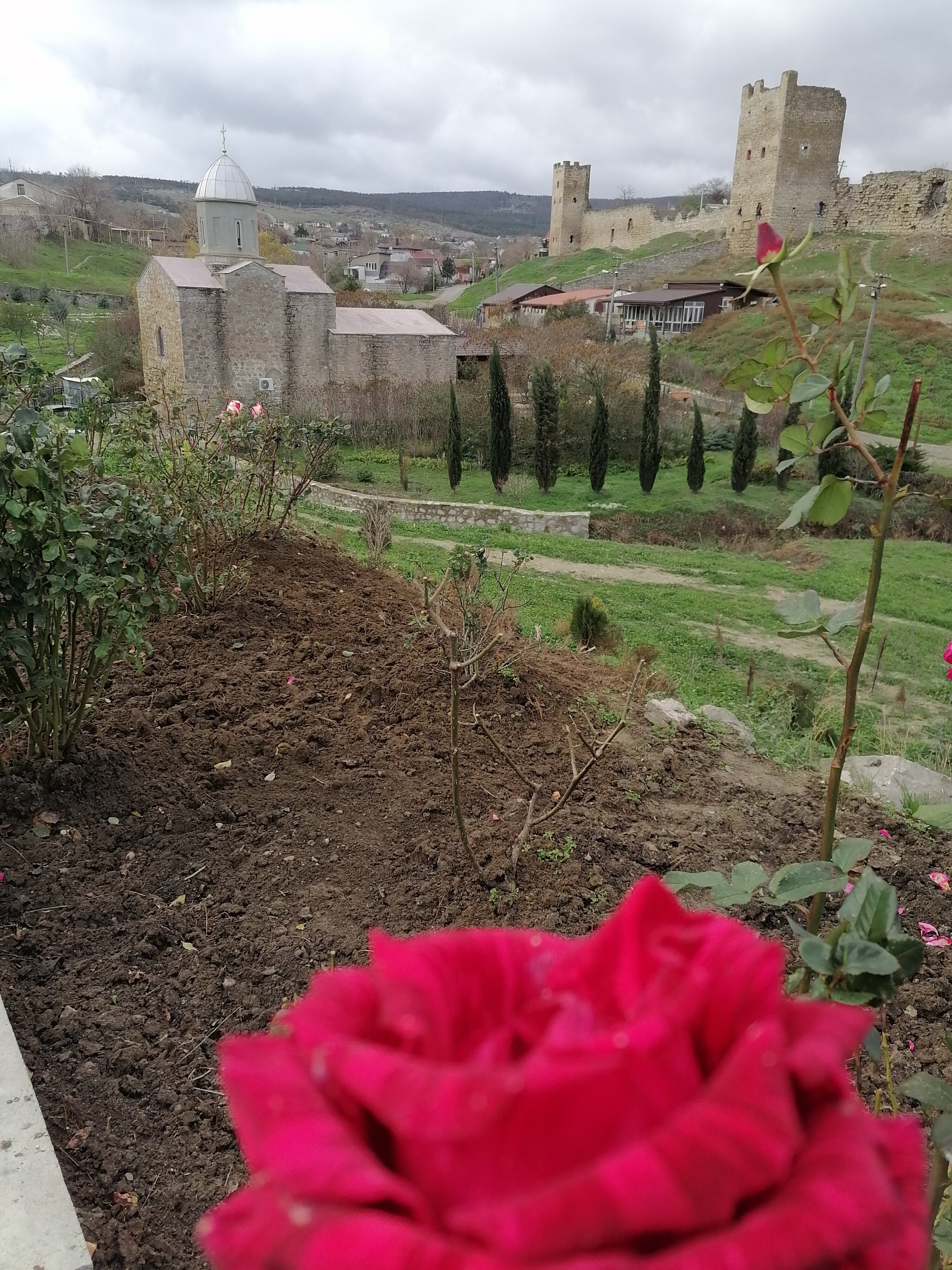 Фото Алетон