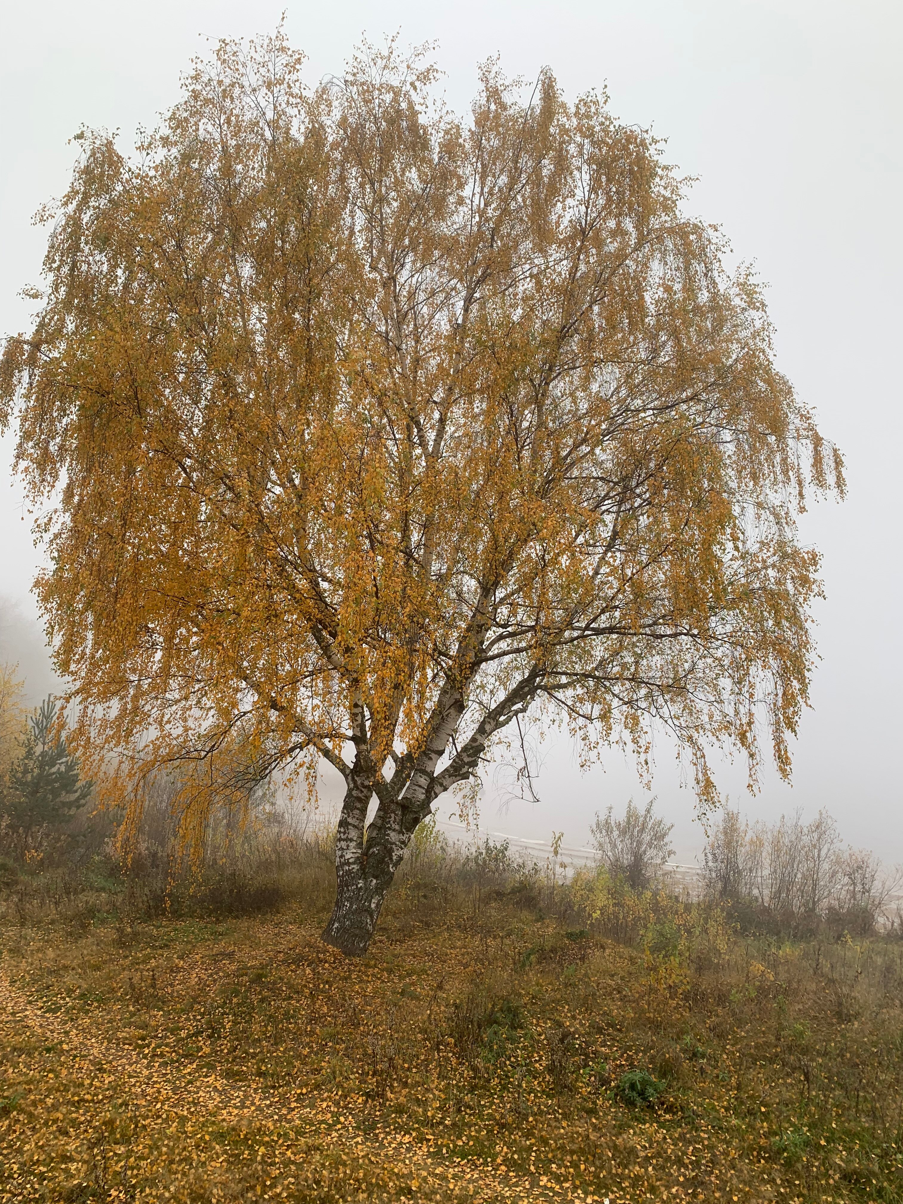 Фото Заповедные устья