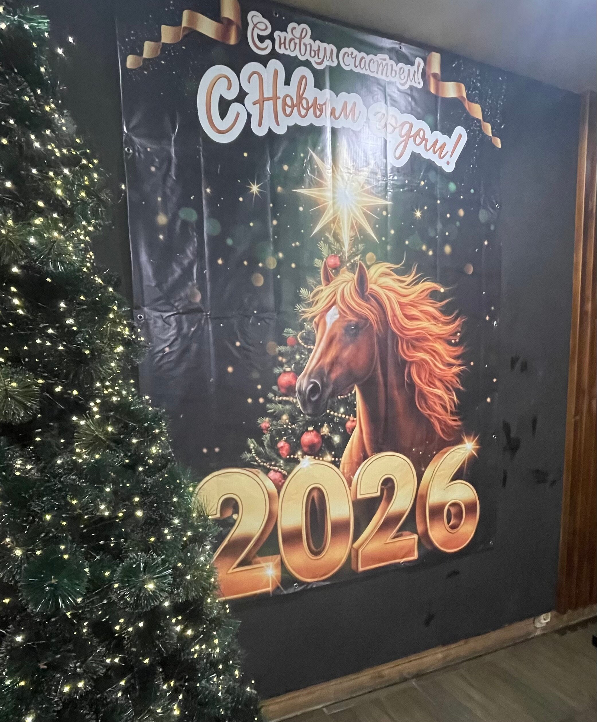 Фото Сияй Вечно