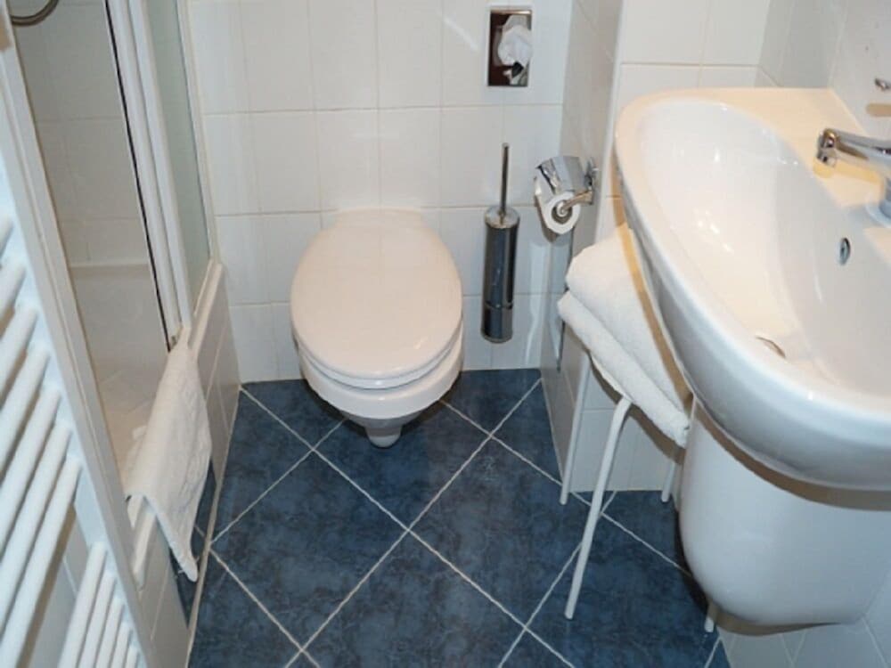 Фото Hotel U Tri Pstrosu