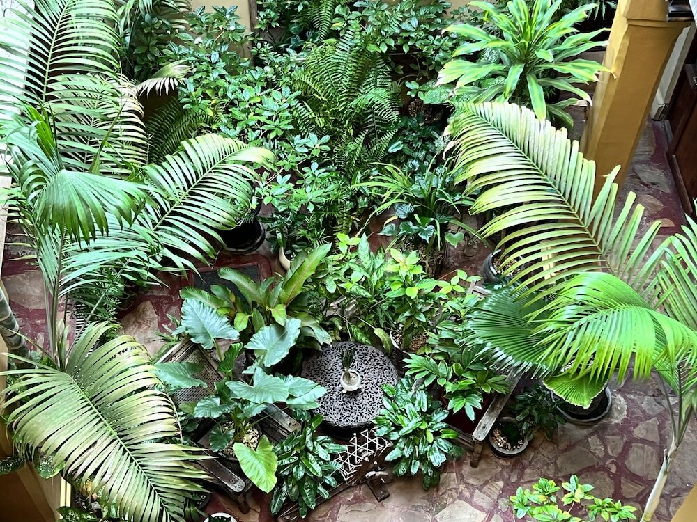 Фото Jafferji House and SPA