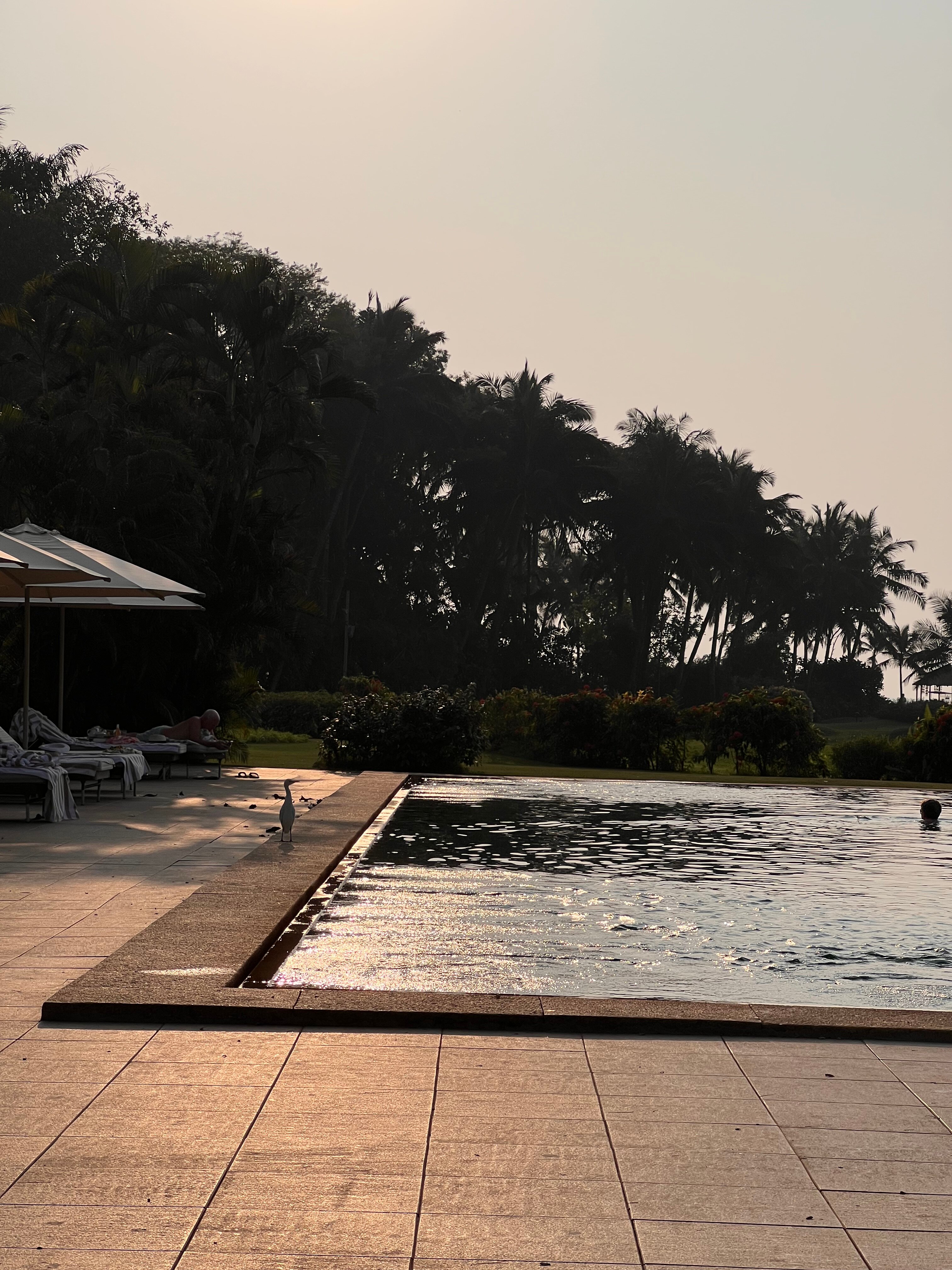 Фото The St. Regis Goa Resort