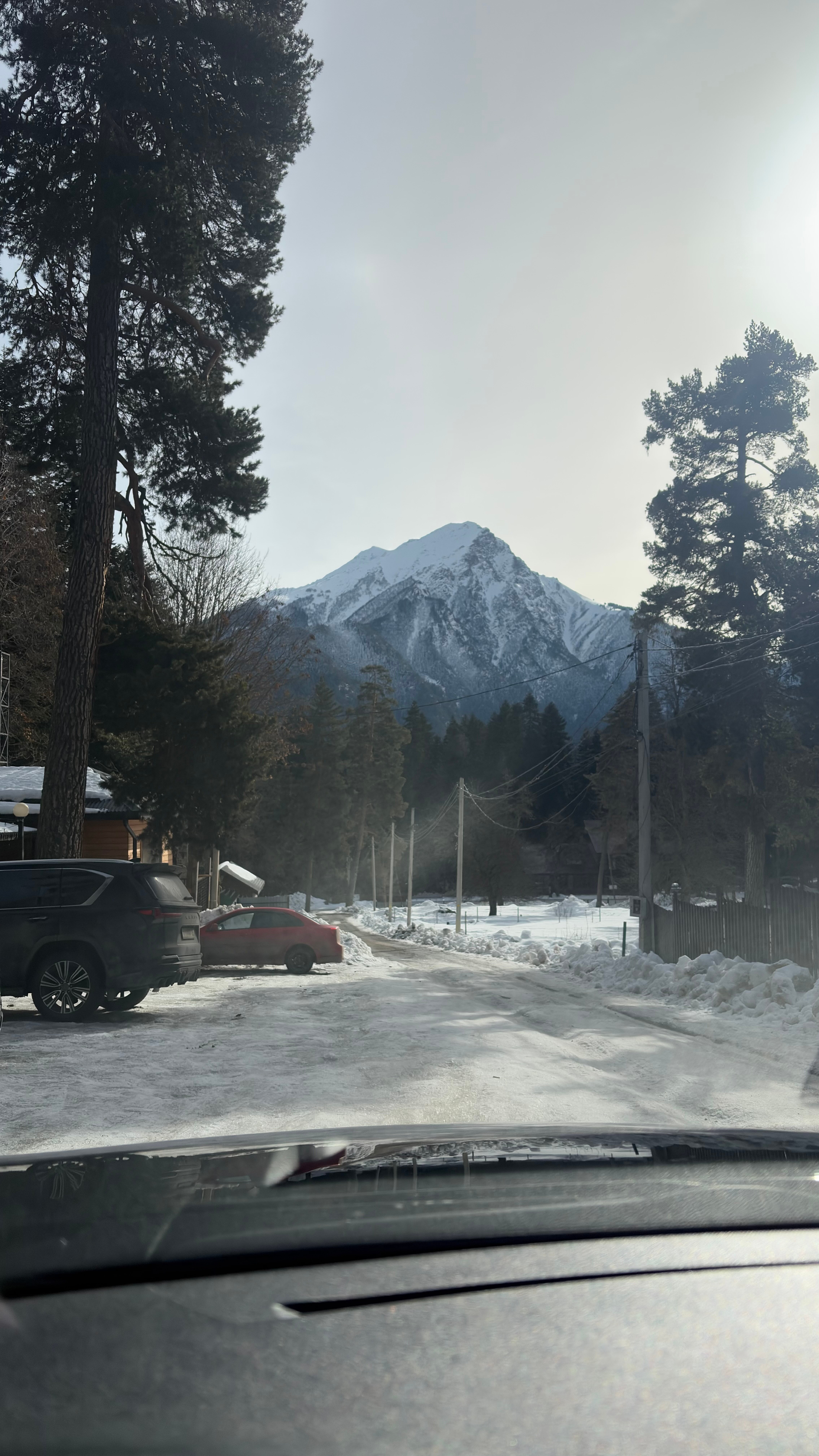 Фото Zarevo