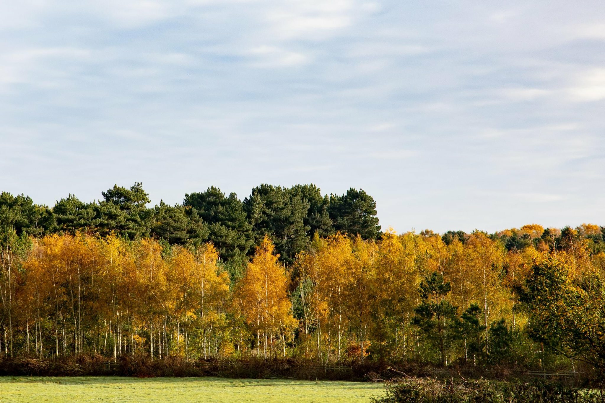 Фото Crowne Plaza East Midlands Airport by Ihg