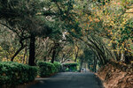 Meadowood Napa Valley