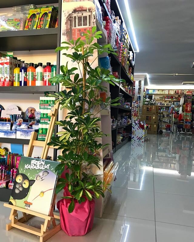 Bookstore Bilgi Book Stationery, Bucak, photo