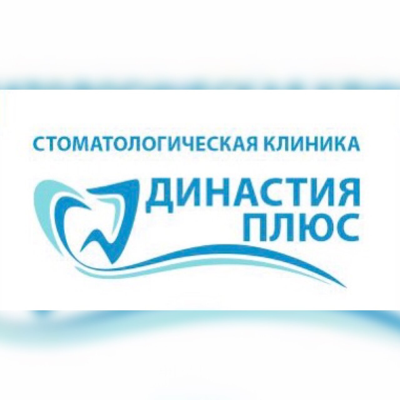 Династия Плюс