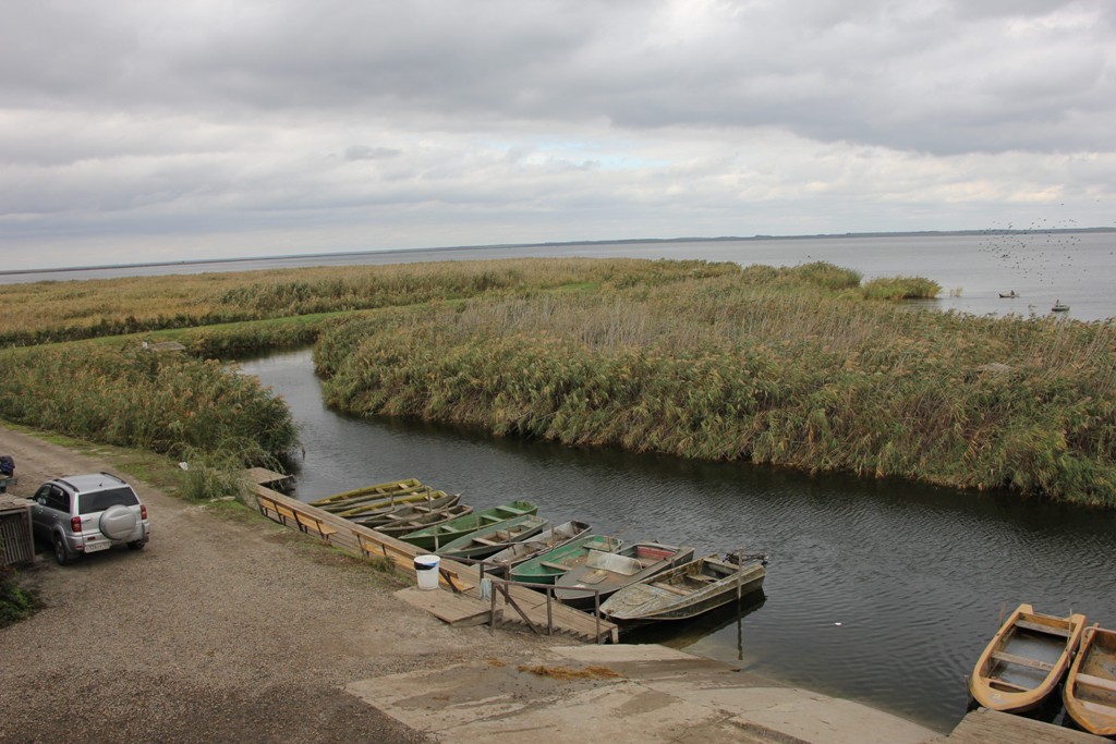Фото Юность
