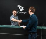 Kelevro (Krasnoarmeyskaya Street, 91) ، تسويق إلكتروني