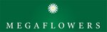 MegaFlowers (Tsvillinga Street, 66Б), flowers and bouquets delivery
