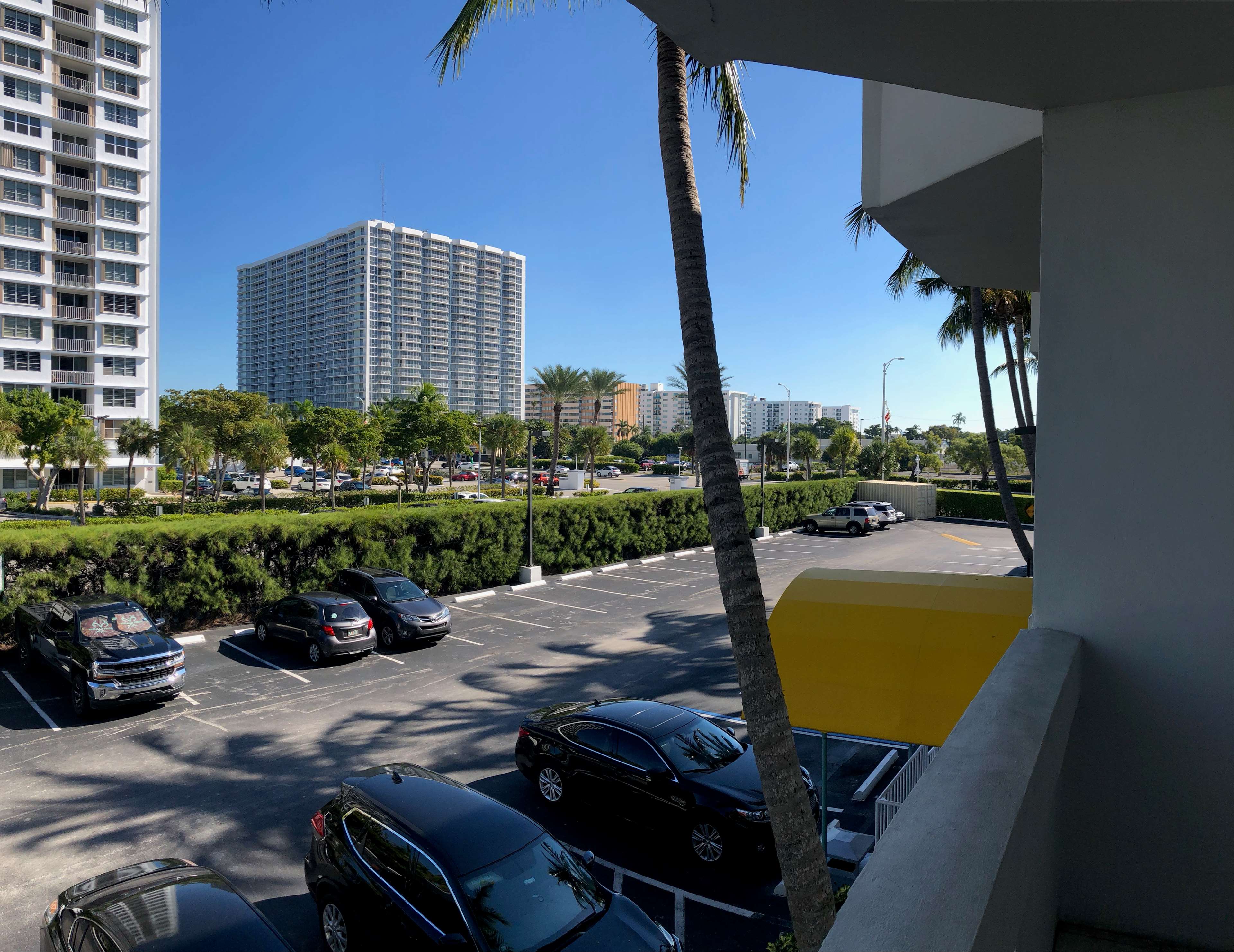 Фото Palm Tree Club Miami Hotel