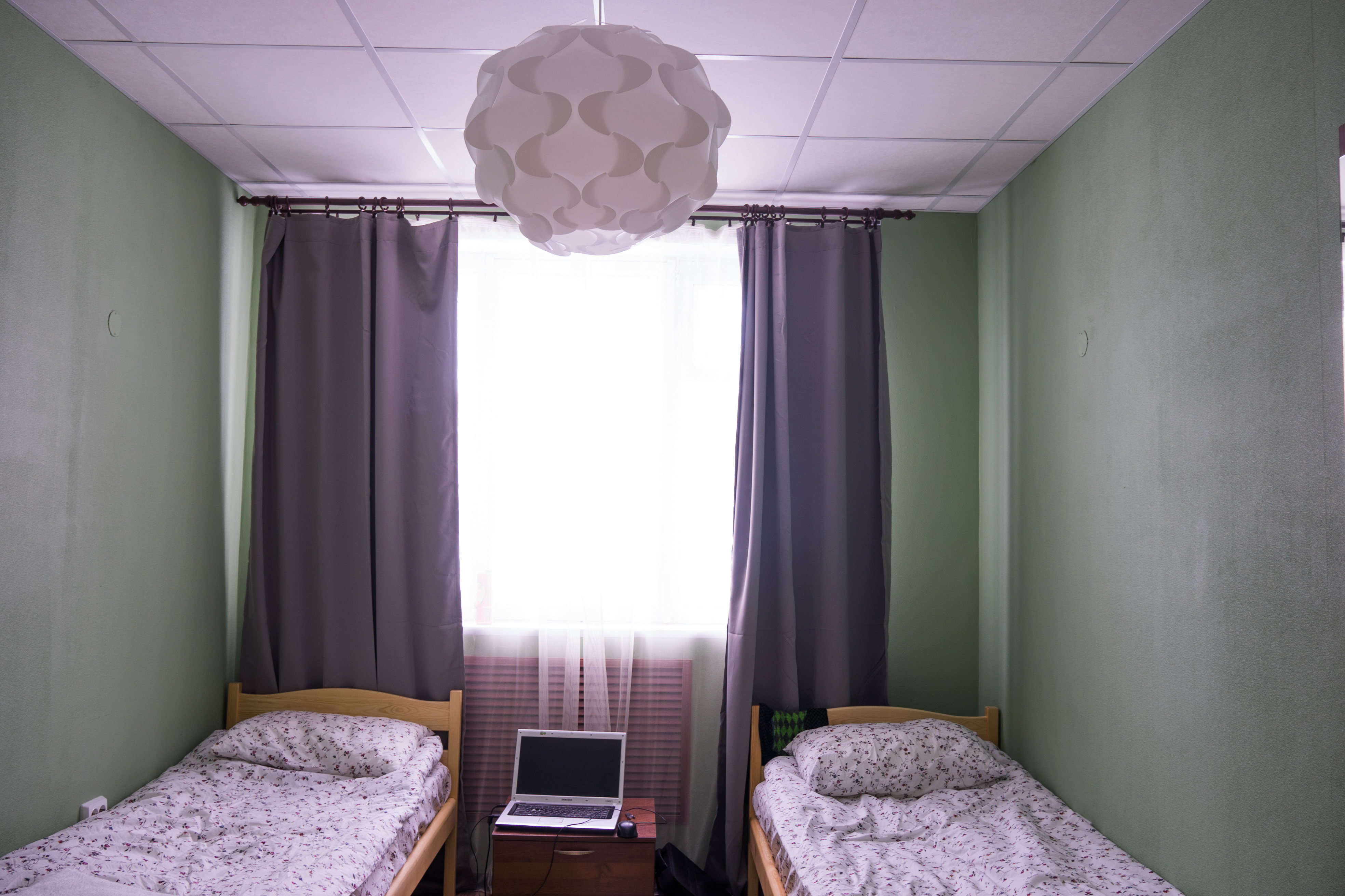 Фото Брусничка