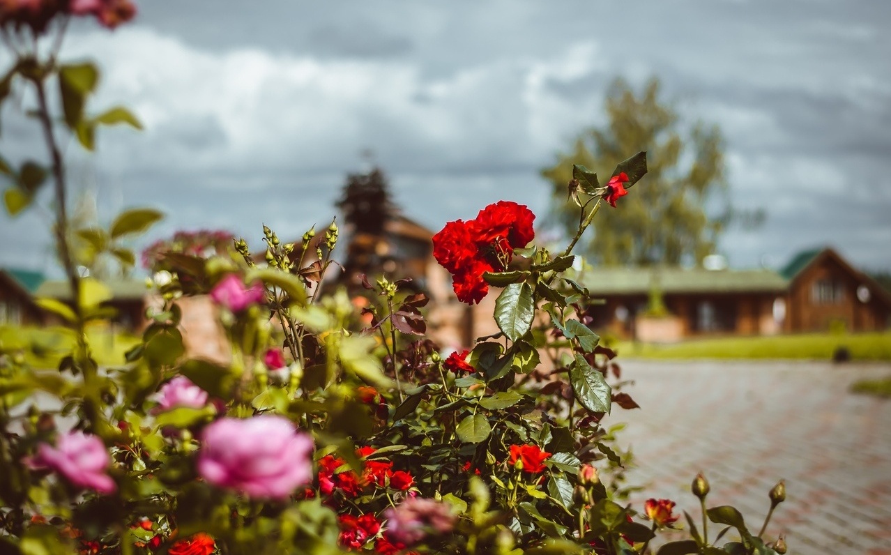 Фото Заозерье