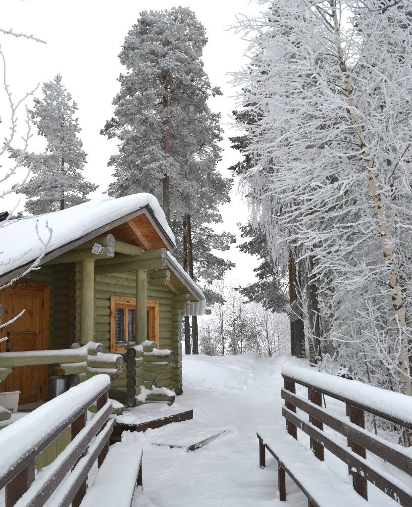 Фото Сандал