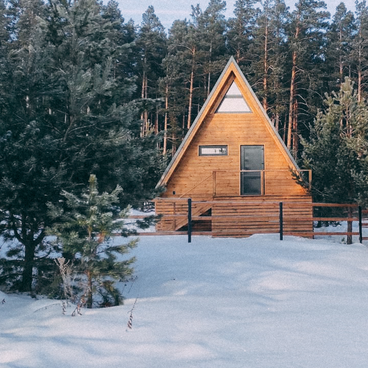 Фото Ёлки Кэмп