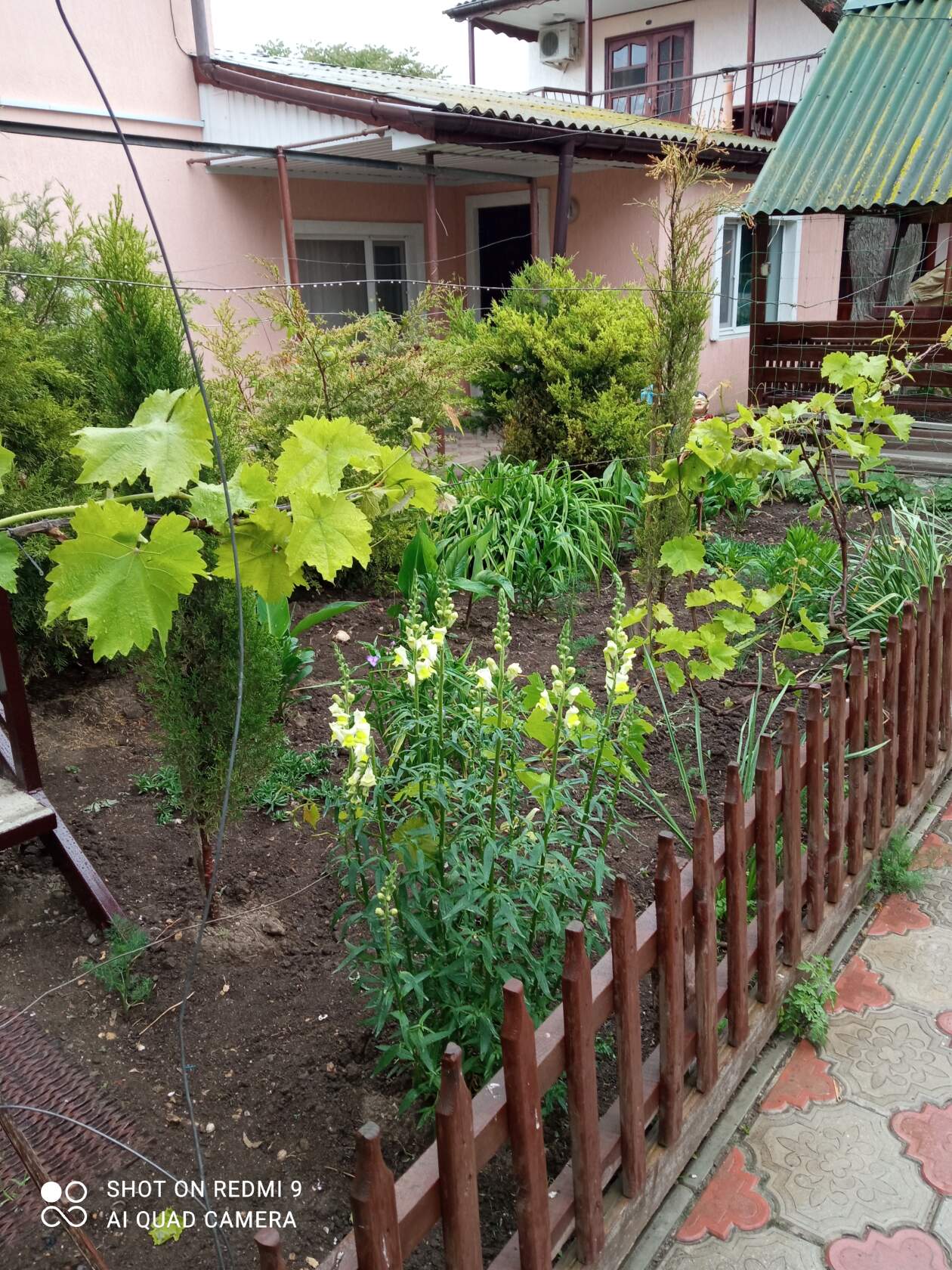 Фото У Людмилы