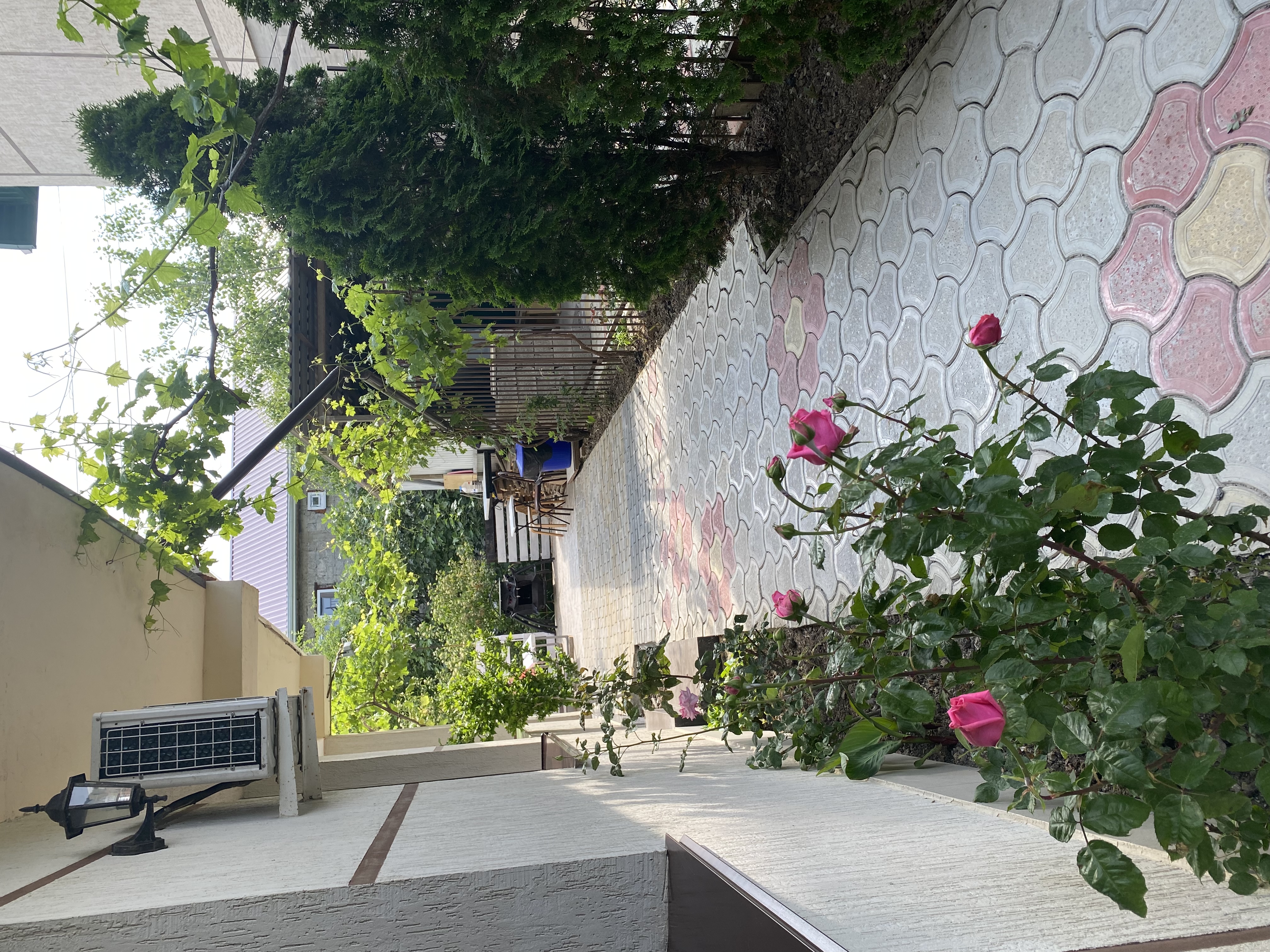 Фото Родничок