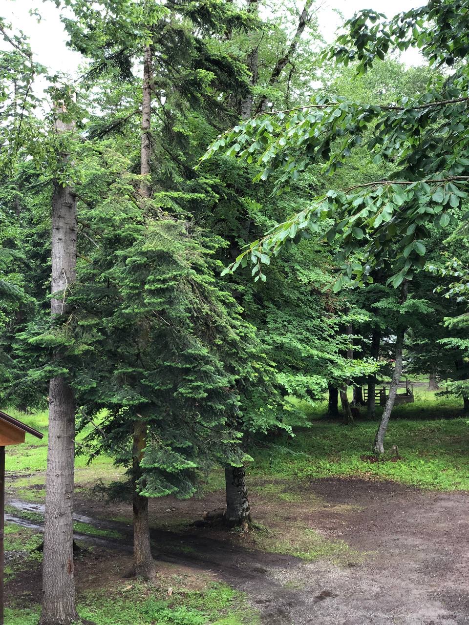 Фото Архыз Резорт