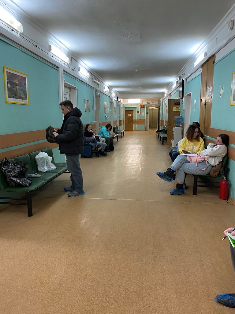 Hospital ГКБ № 1 им. Н. И. Пирогова, оториноларингологическое отделение, Moscow, photo