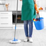 Agent Chistoti (Kozhzavodskaya ulitsa, 4), cleaning services