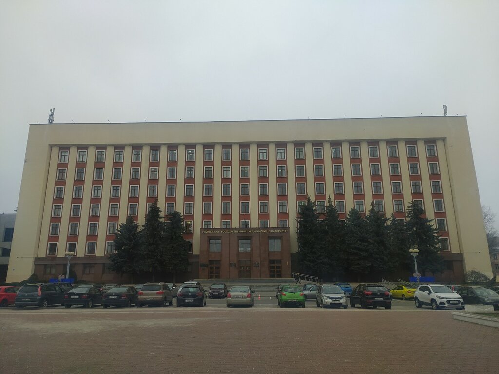 Панорама: Гомельский государственный медицинский университет, ВУЗ, ул. Ланге, 5,