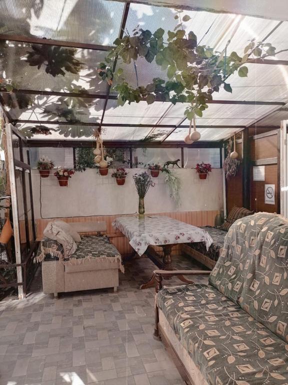 Фото Кипарис