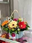 Flora (selo Krasnokumskoye, ulitsa Kirova, 44), floristeria