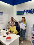 Pegas Touristik (Zanevskiy Avenue, 67к3), travel agency