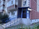LLC Decinfector (Sverdlovskaya ulitsa, 139), disinfection, disinsection, deratization